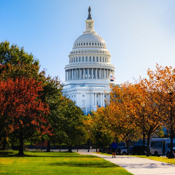 Rondreis IJsland/VS 10