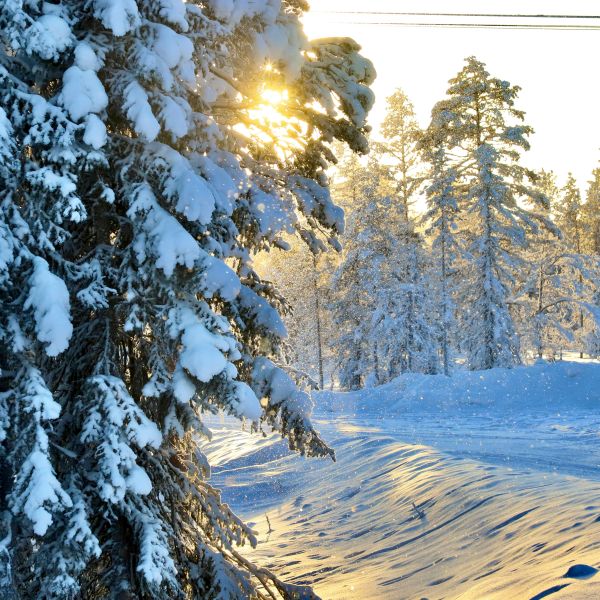 Incentive naar Lapland 10