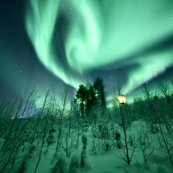 Incentive naar Lapland 6