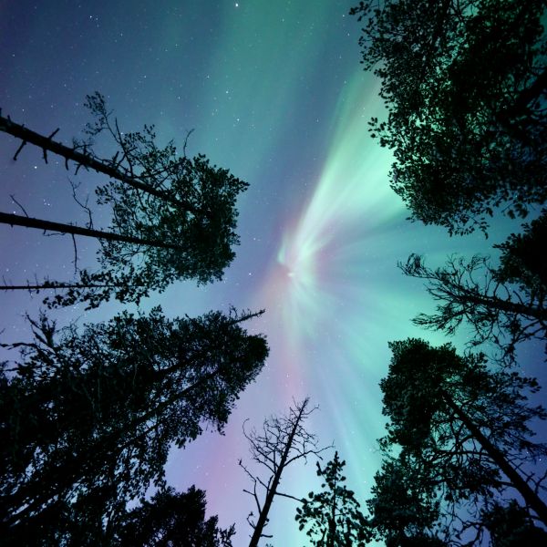 Incentive naar Lapland 2