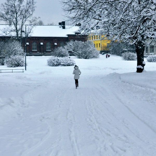 Wintersport in Lapland 6