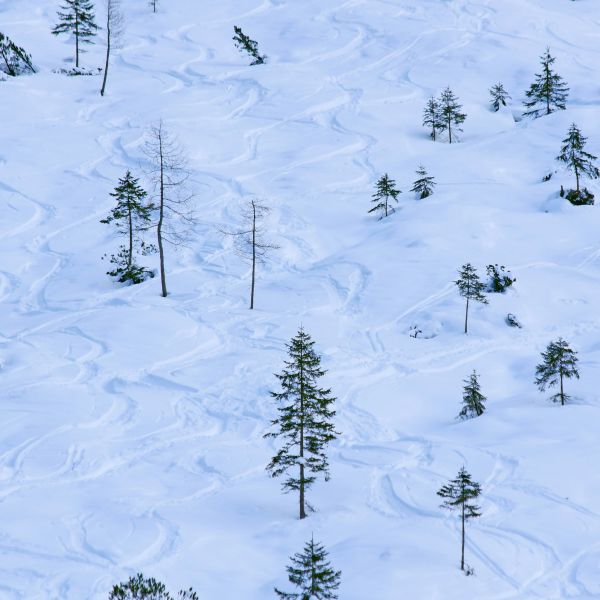 Wintersport in Lapland 2