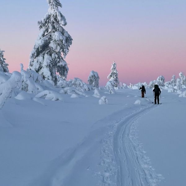 Wintersport in Lapland 4