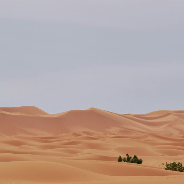 Familiegroepreis Marokko 4