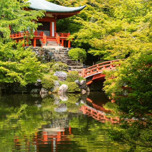 Groepsreis Japan 5