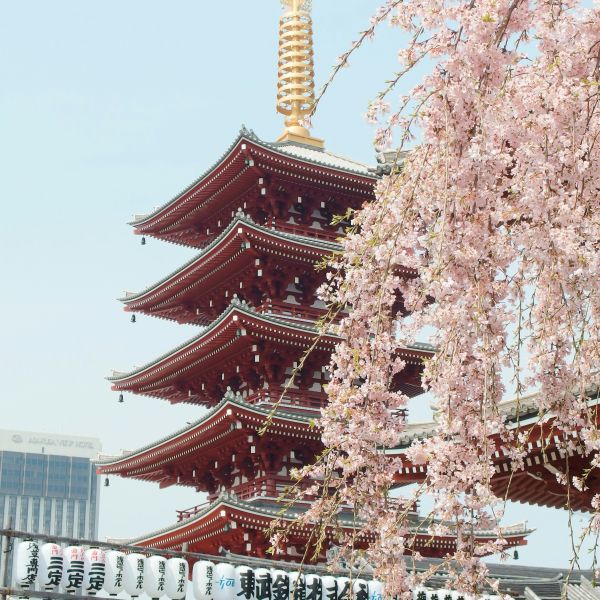 Groepsreis Japan 1