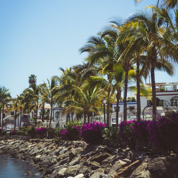 Zonvakantie op Gran Canaria 5