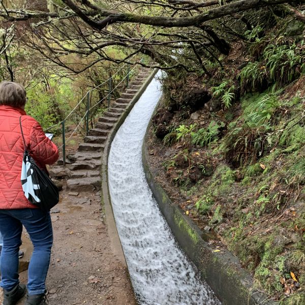 Portugal - Madeira 9