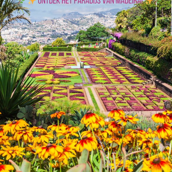 Portugal - Madeira 2