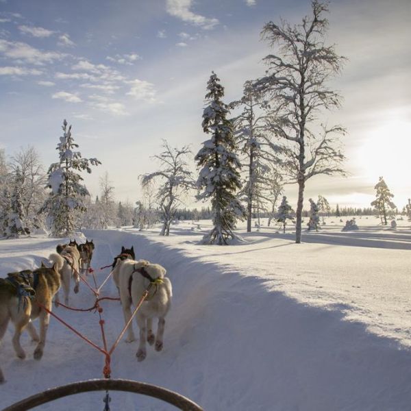 Winteravontuur Lapland 2