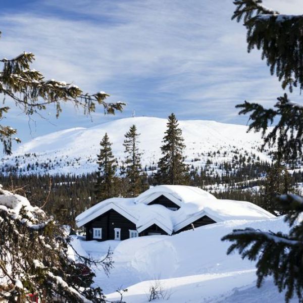 Winteravontuur Lapland 1