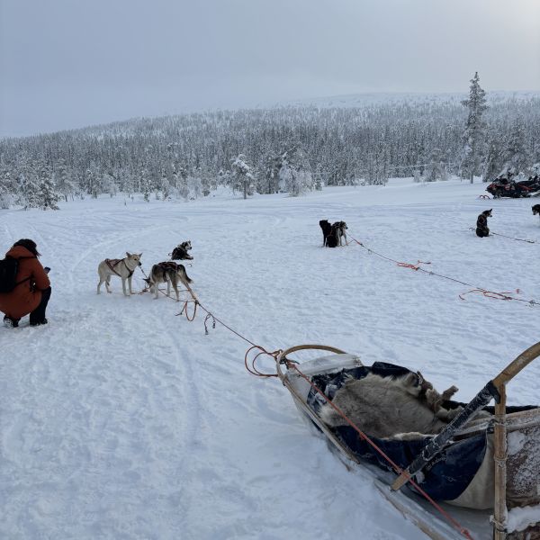 Winteravontuur Lapland 4