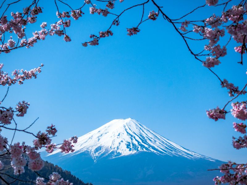 Groepsreis Japan