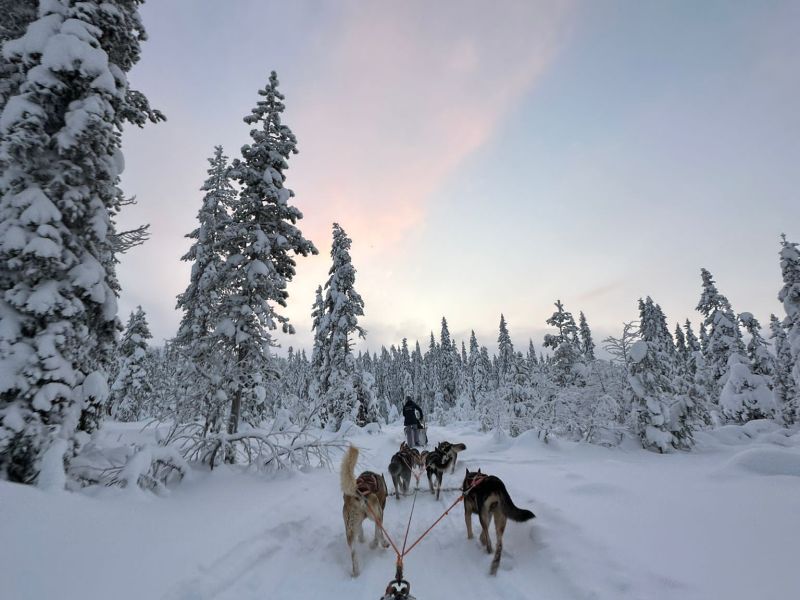 Winteravontuur Lapland